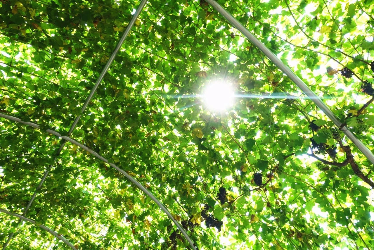 郑州约会好地方11佳！速度收藏，分分钟搞定女朋友！