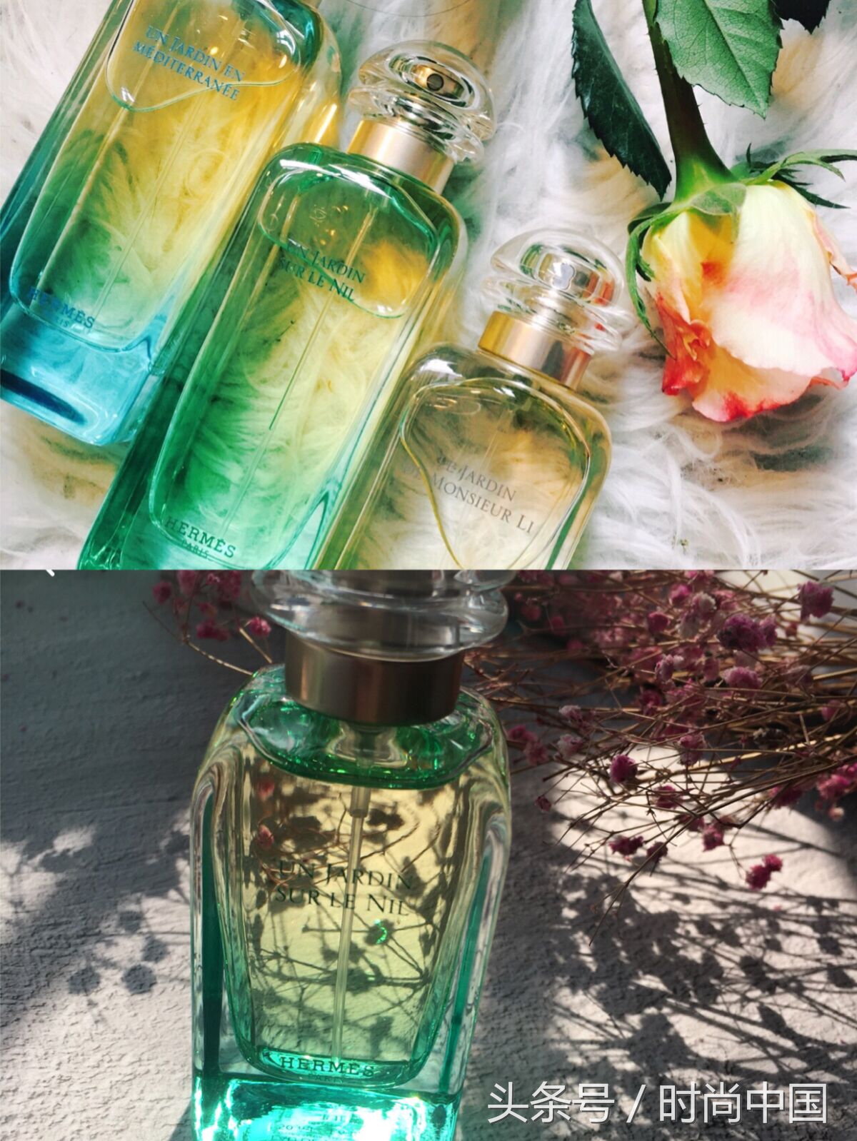 闻香识女人第六感,闻香识女人的香氛