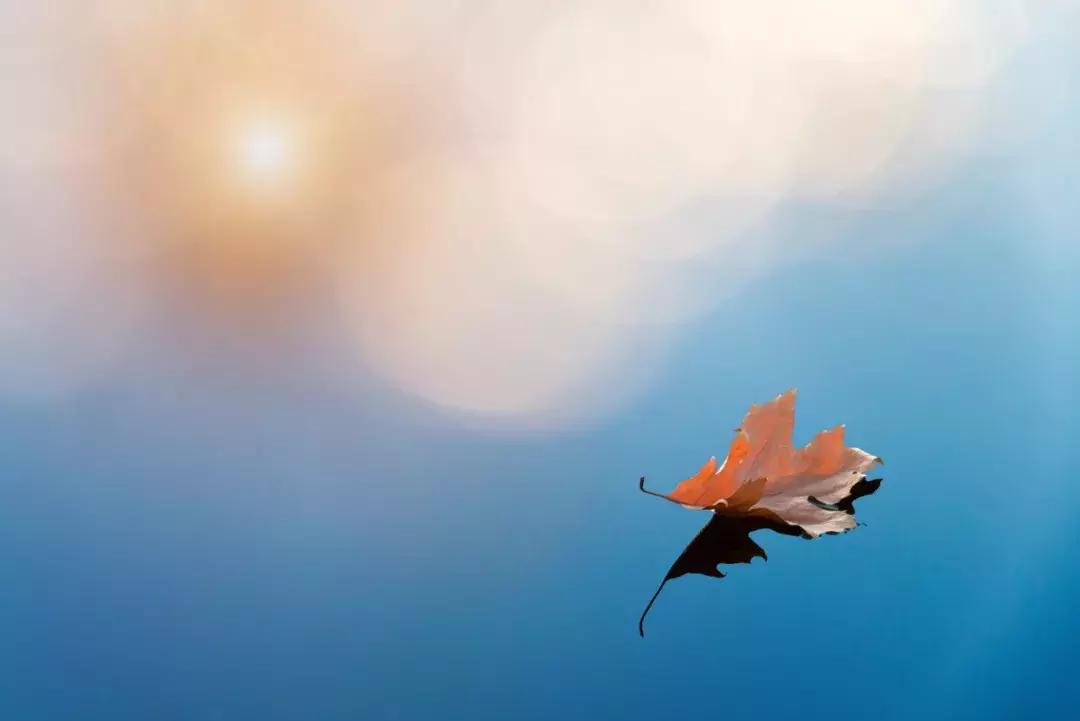 《人民日报》推荐必背的72首古诗文，你会背几首呢？