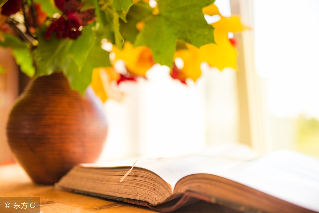 三年级语文课外阅读练习题及答案,三年级学生课外阅读上存在的问题