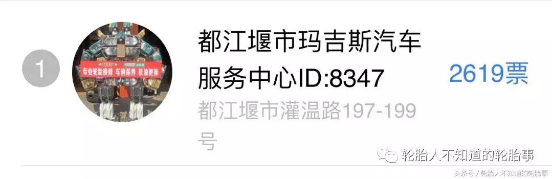 轮胎评选,轮胎企业冠军名单