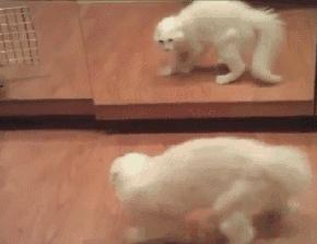 换耳塞耳套的技巧,换耳套有用吗