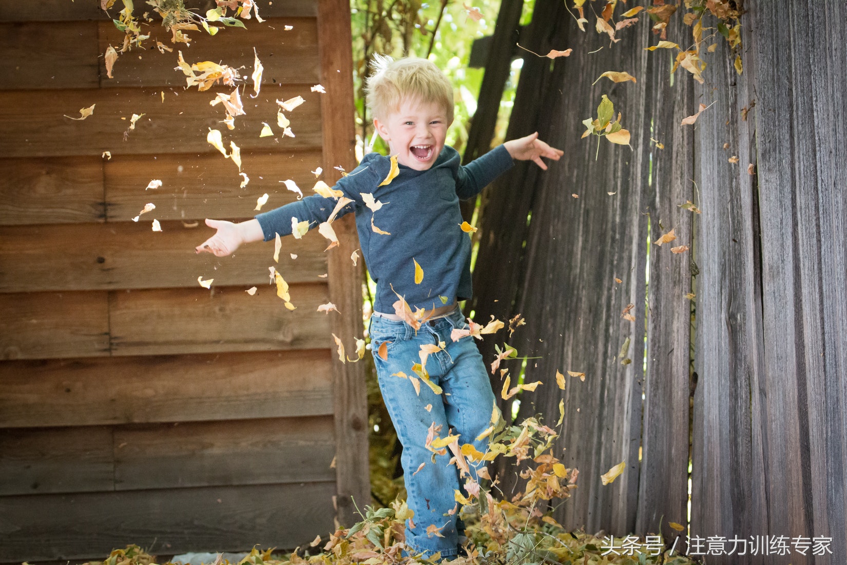 阿斯伯格氏综合征天才,一个阿斯伯格综合症成功人士自述