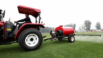 足球场是天然草还是人工草好,足球场天然草用什么草种