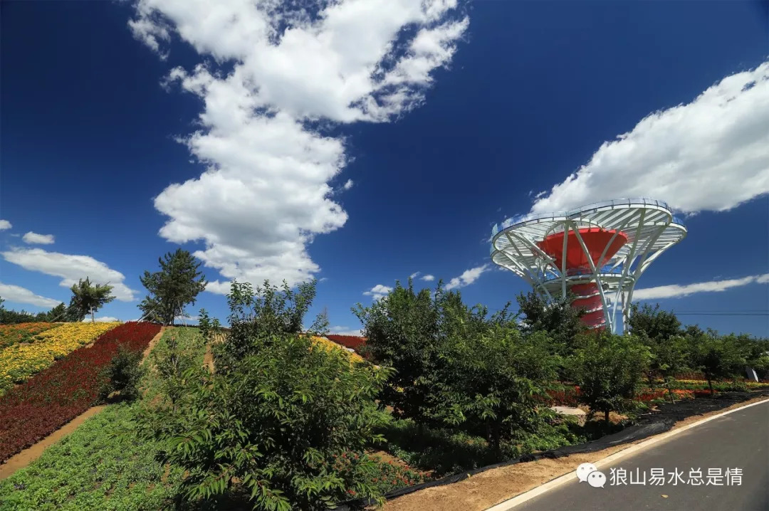 狼牙山深秋百花园,狼牙山百花园樱花图片