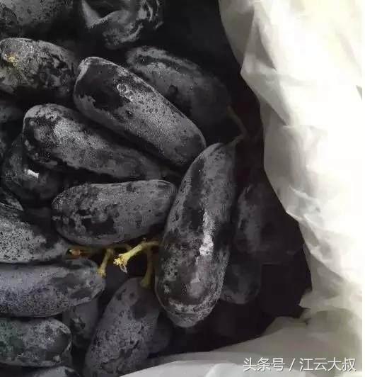 4种难得一见的最独特水果,极为罕见的6种水果有哪些