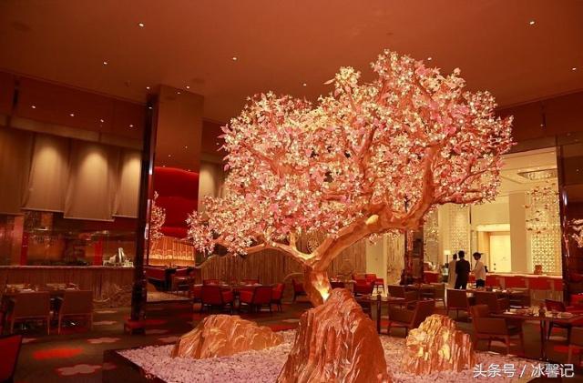 澳门美食攻略，每一家都能直击你的味蕾