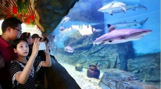 横店梦幻谷玩水需要带什么,梦幻谷横店门票团购优惠直播