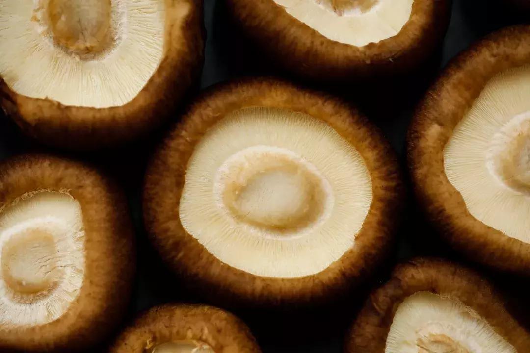 蘑菇怎么那么多啊,蘑菇要怎样吃才知道没有毒