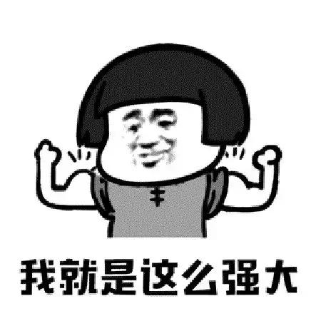 乐高逆天极速战机,乐高的巅峰之作1比1还原布加迪