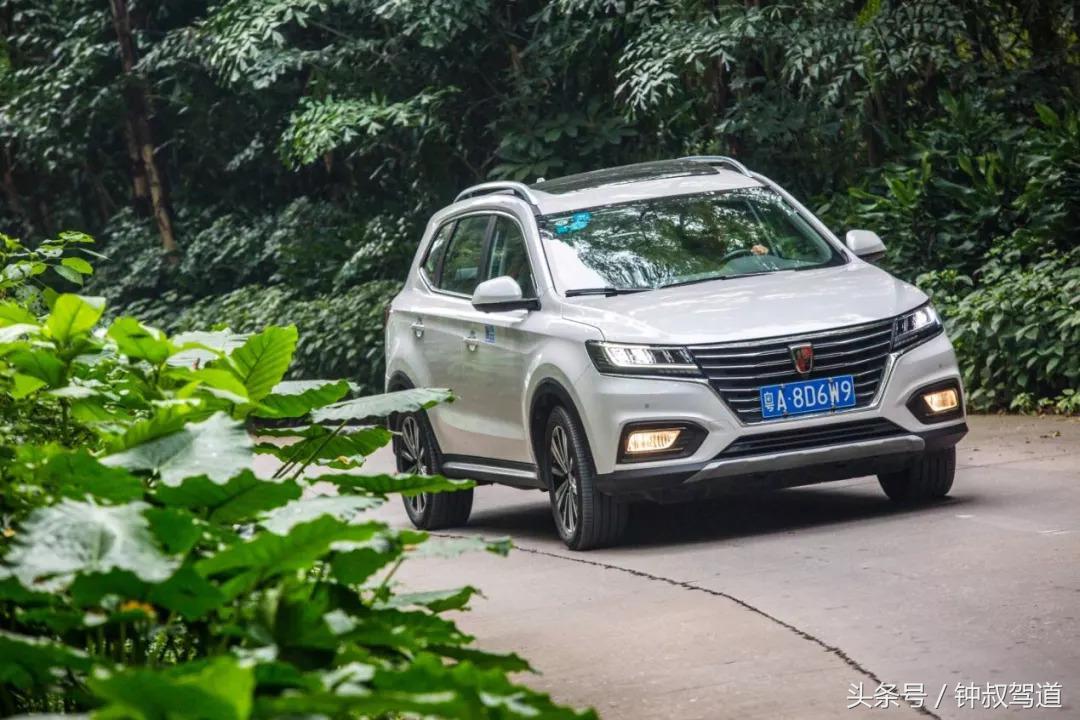 叔情｜在动物的乐园里，我们更理解了环保的意义！