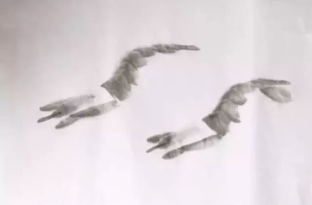 简单的画虾教程儿童,最简单的画虾的方法