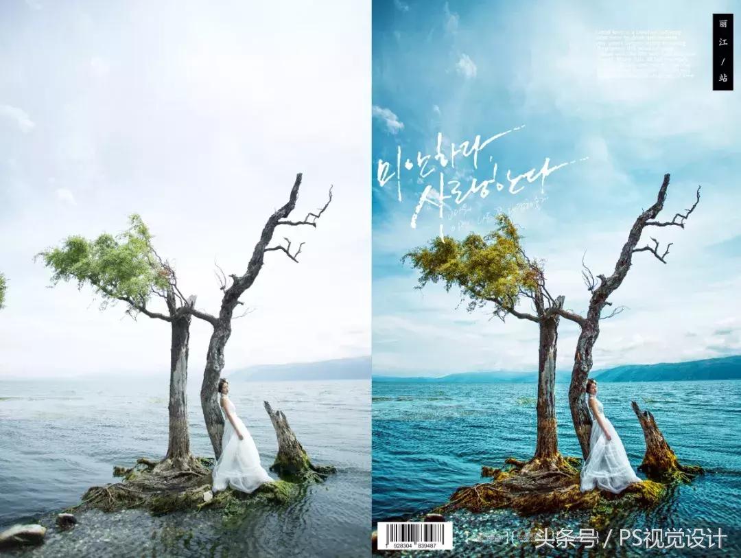 平面设计教学ps零基础入门,ps设计教程从零开始学