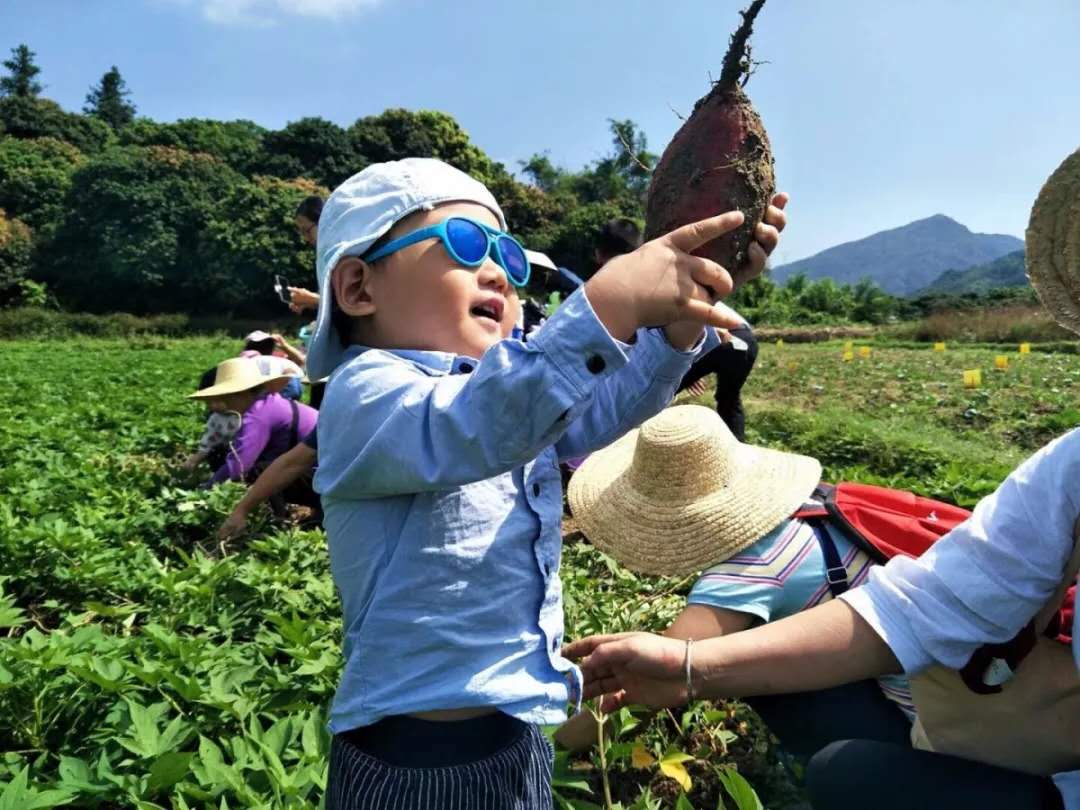 深圳碧桂园新项目,碧桂园田园里东区