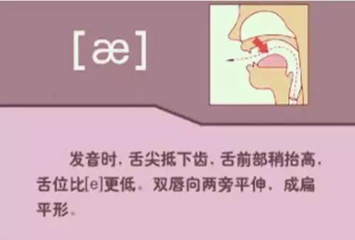 英语48个音标发音详细教程,英语48个音标的正确发音和技巧