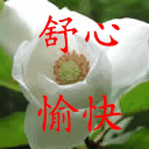 早上好生命在于运动动态表情图片,大家早上好最新版动态图片表情