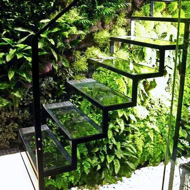 杨绛谈人生处世的书,杨绛人生曼妙的风景适合男生读吗