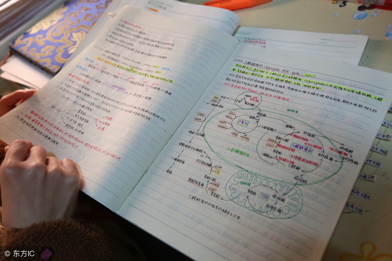 中小学校园现有偿互助：借笔记讲习题做作业5元/次可用物品换！