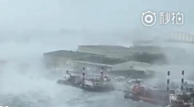 嫌拼车空调不凉女子被司机扔服务区;快递员撞人后蜗居帐篷365天