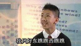 最强的2080ti显卡是哪个,最强的泰坦显卡相当于rtx多少