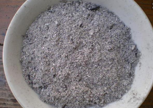 种菜有虫子要什么药,室内阳台种菜招虫子怎么办