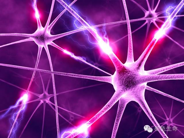 鲜活细胞原理是什么,鲜活细胞外泌体你了解多少