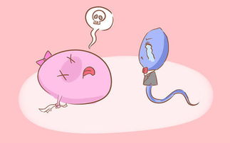 空孕囊是什么形状,空孕囊是什么意思