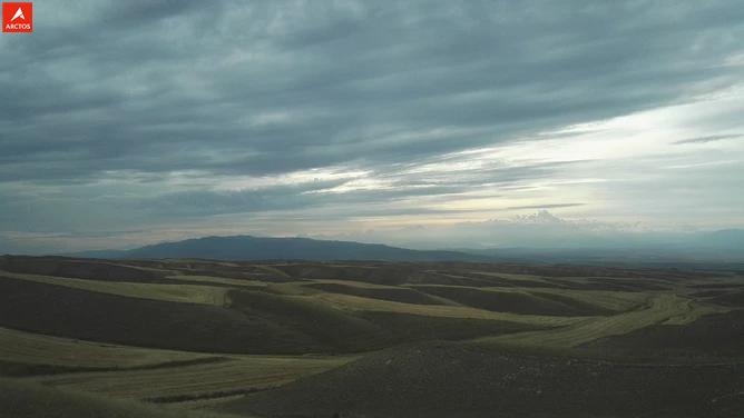 一次偶然，铸就永恒，十年驴龄的他“长存”于此-乌孙驴行记