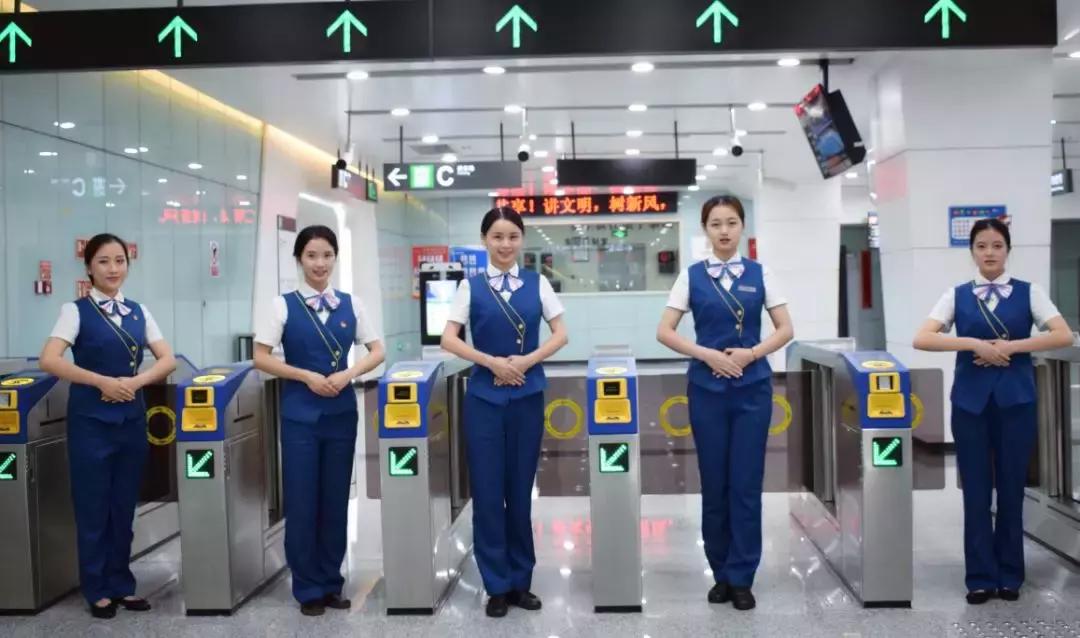 10号线一周年｜芙蓉花开，走进10号线绽放的365天