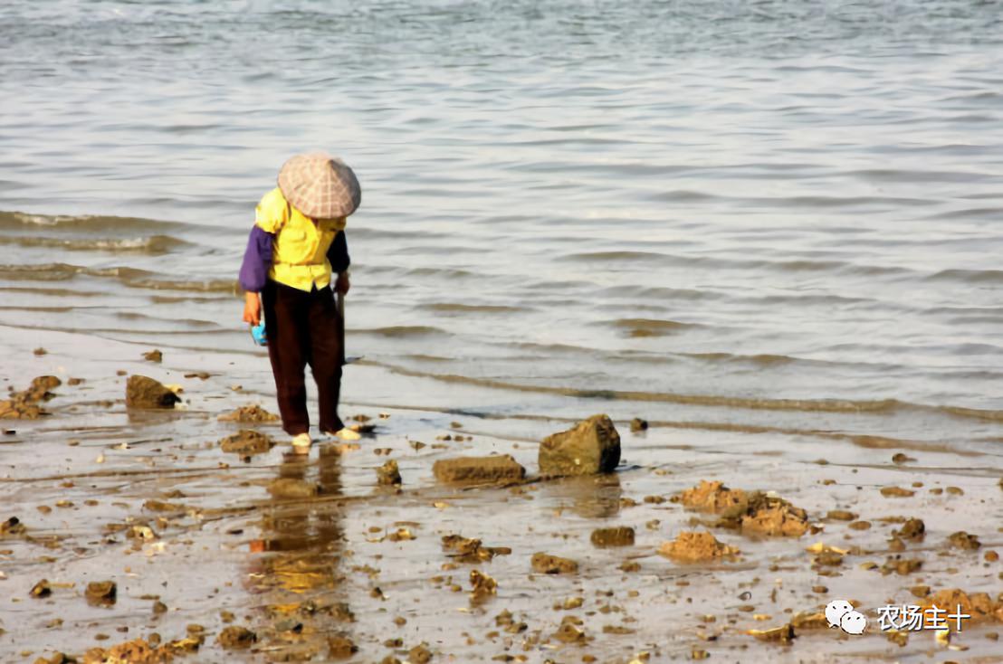 成为农业大户的条件,中国农场主的要求