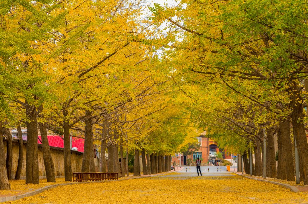 这些绝美小黄片,已经陆续在全国上线,找个时间去扫黄吧