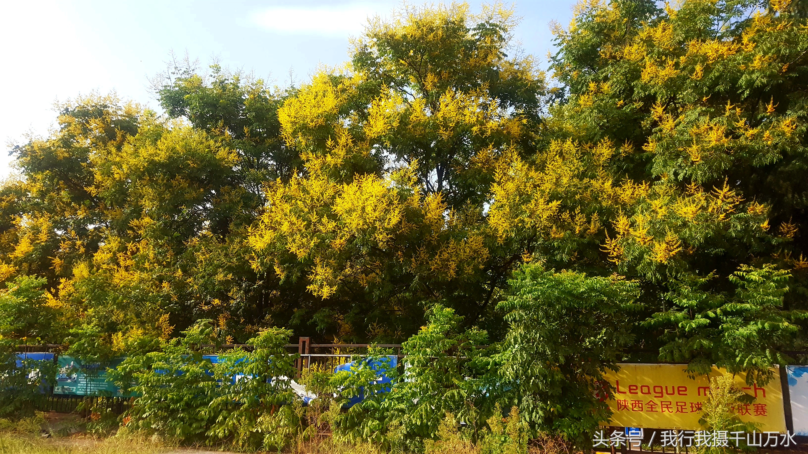 民间健身及尽享足球之乐的好场所——西安西光厂体育场