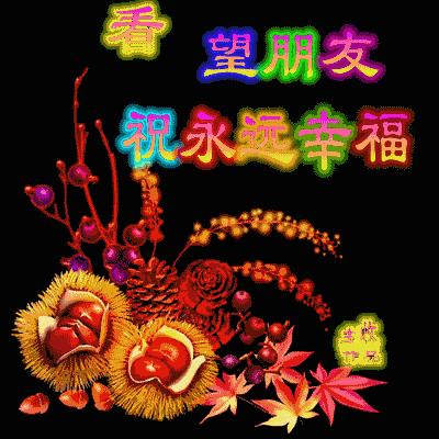 白露最暖心的祝福,明日白露祝福视频大全