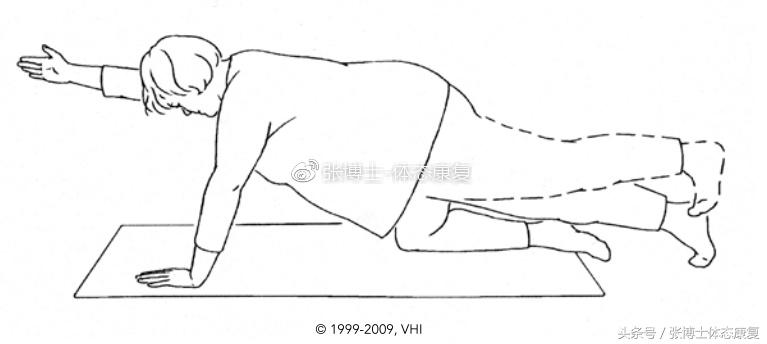 最全产后恢复体育动作,产后修复的健身动作