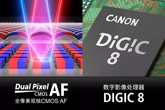 佳能eosr与r6有何区别,佳能eosr实操