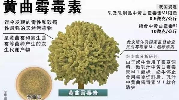 花生玉米发霉能吃吗,霉变的玉米花生里有什么