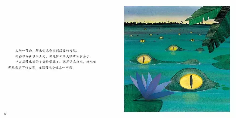 最近流行适合女性的一套书,平价颜值又高容量大的书