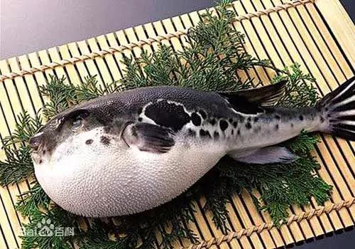 怀孕期间有四种鱼最好不要吃,孕妈这样吃水果宝宝聪明又漂亮