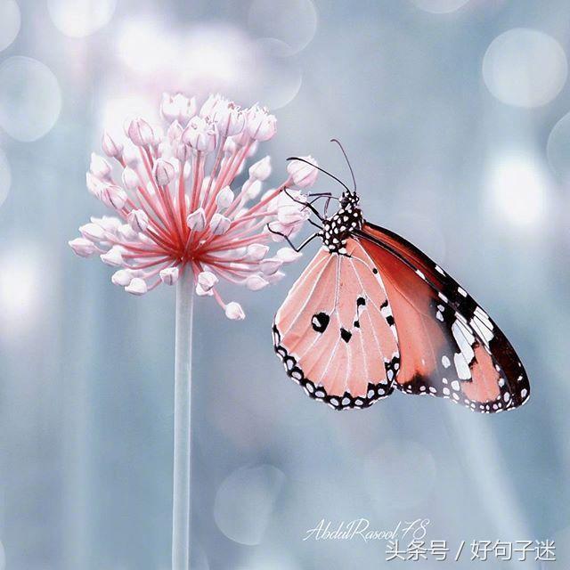 好听的qq个性签名大全,好听的qq个性签名英文