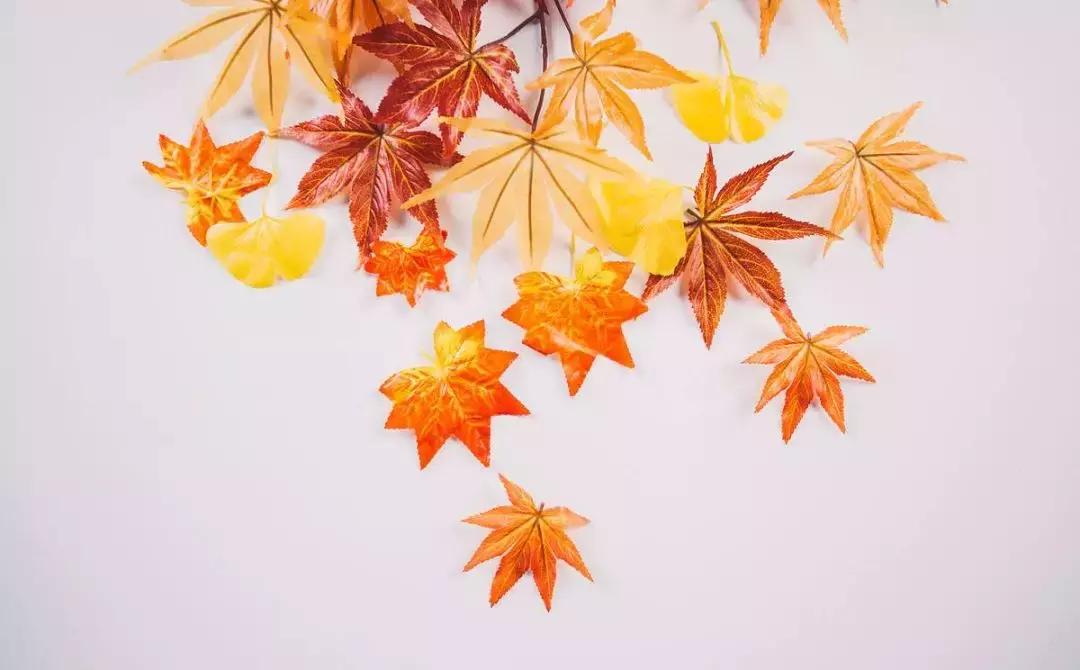 喜迎教师节博爱口腔给蓉城教师免费送口腔大礼特邀华西专家坐诊