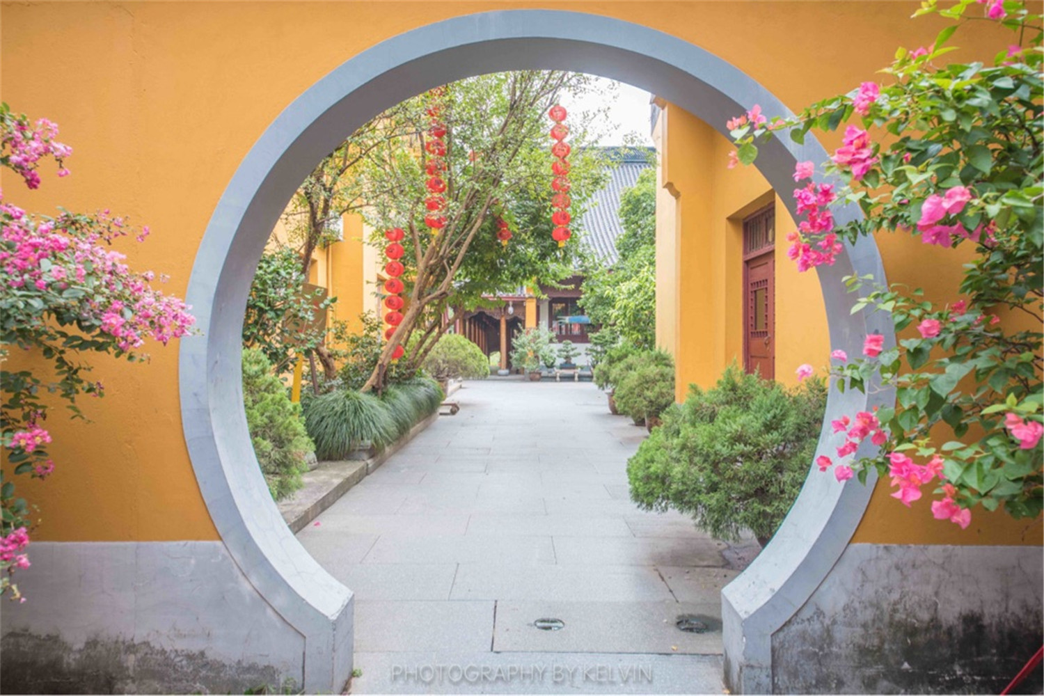 杭州西湖领略西湖之美,杭州西湖美景打卡