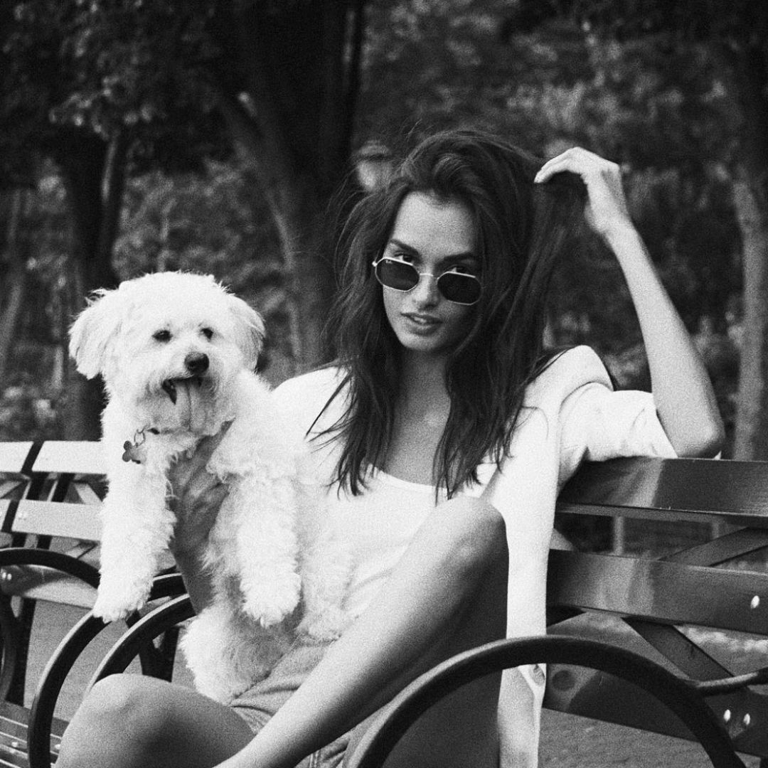 维密天使猫猫走秀,维密超模走秀猫咪