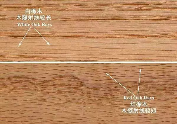 “床事”知多少？