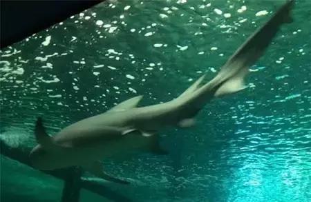 江苏省连云港地图高清版大图,连云港海地图怎么画