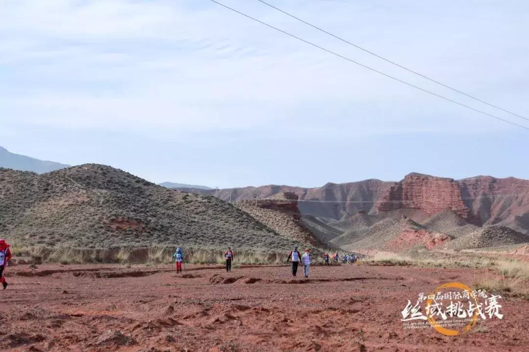 姊﹀洖寮犳帠姝屾洸,姊﹀洖寮犳帠