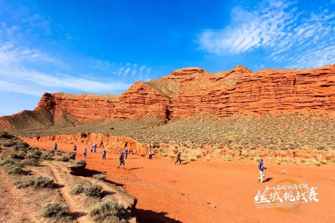 姊﹀洖寮犳帠姝屾洸,姊﹀洖寮犳帠