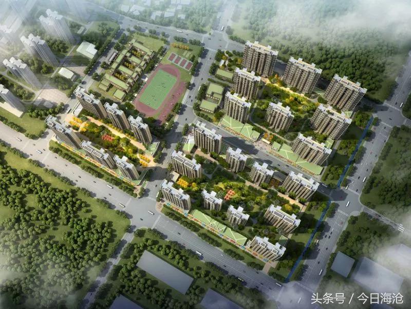 海沧区最近两年增加了哪些学校,厦门海沧学校规划