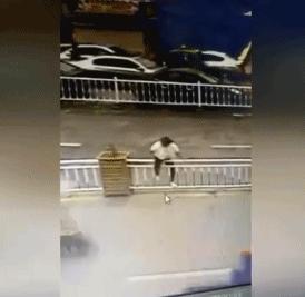 所有人注意咯，年末沙雕新闻来喽！小狗尿尿屁股冻在了地上...