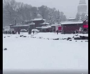 幼儿园点名多了个娃，孩子：舅舅送错了；淄博一条金鱼卖出9.6万；山东多个景区今起对教师免费