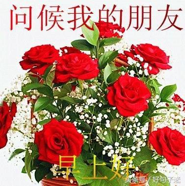 简短早安正能量早安吉祥心语,每日早安祝福语简短的